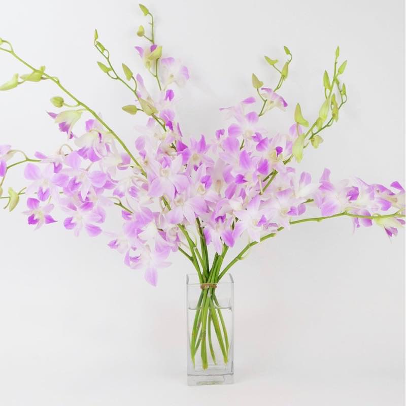 Large Orchid Bunch in Glass Vase - Pink